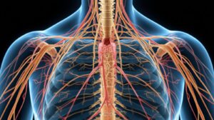panic attacks do not permanently damage the nervous system