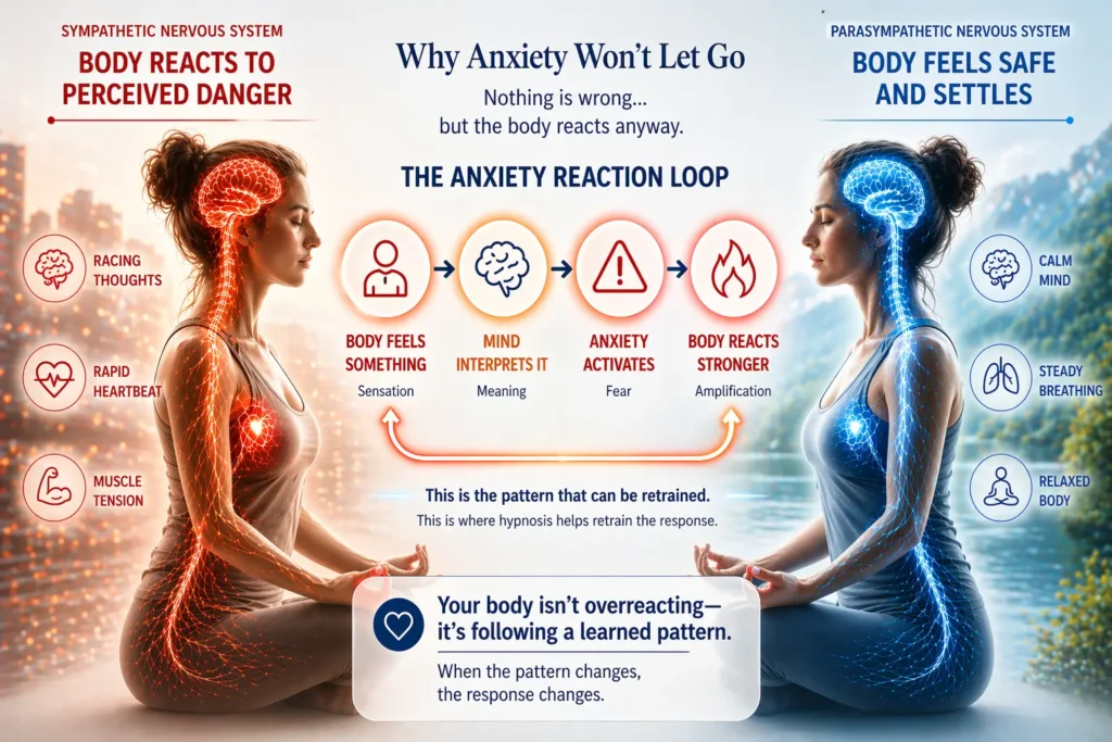 Diagram of hypnosis for anxiety showing the anxiety reaction loop, including brain interpretation, fear activation, and nervous system responses shifting from stress to calm.