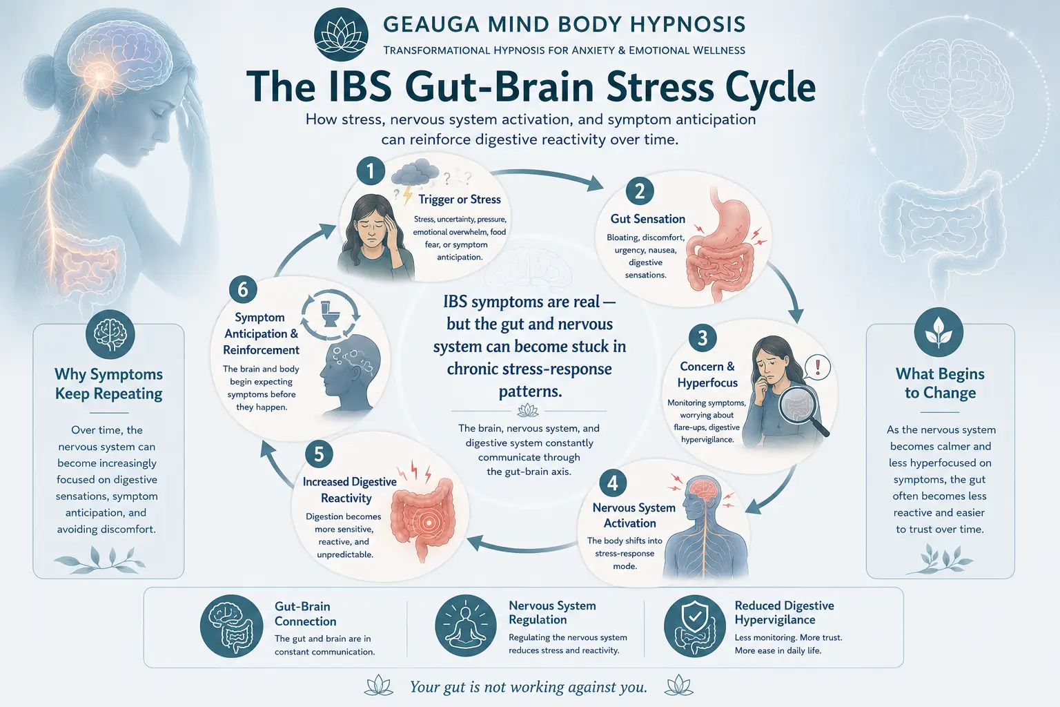 Educational infographic showing the IBS gut-brain stress cycle, including stress, digestive hypervigilance, nervous system activate